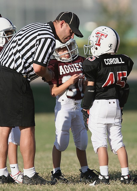 无可争议的 无可争议的